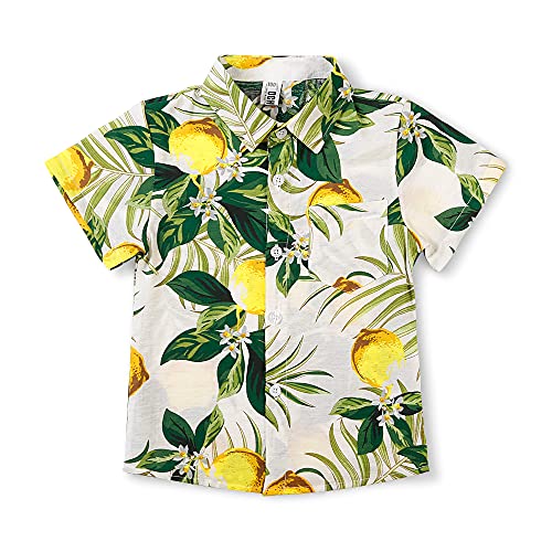 OCHENTA Boys Lightweight Button Down Hawaiian Shirt Floral Short Sleeve Aloha Tropical Summer Tops