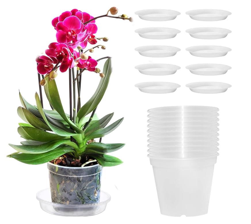 SRTSTR 10 Piezas Maceta Orquidea Transparente Ø11,5cm Maceta para Orquídeas Macetas Plastico con Orificios de Drenaje para Jardín,Balcón,Interior y Exterior