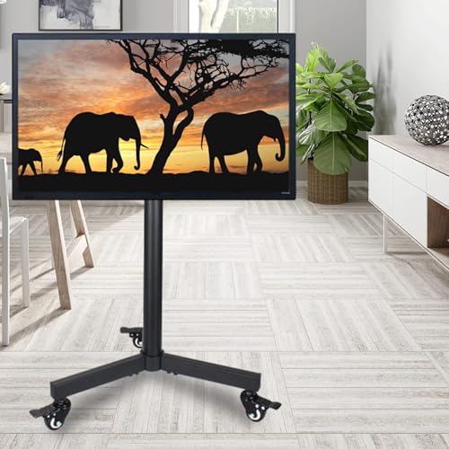 Cart de télévision mobile FBSHAD pour éviter les reflets support TV réglable hauteur angle