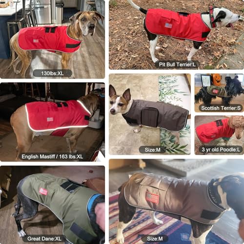 Image of BEAUTYZOO Dog Winter Coat for X-Large Dogs, Waterproof Canvas Jackets | Warm Fleece Great Dane Sweater, Reflective Cold Weather Coats, Windproof Blanket Clothes for Female Male Doggie, Green XL