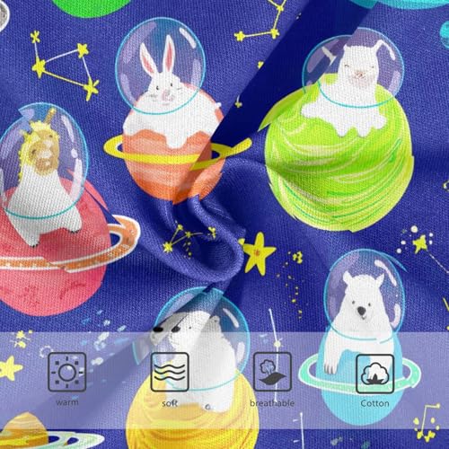 Joisal Cute Animals Planet Blue Panties Little Girl Girls Underwear Toddler Cotton Cartoon Undies Kids Briefs 2t3