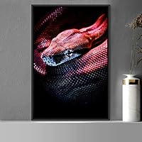 Framed Canvas Wall Art Snake Contemporary Dramatic Hallway Multicolor Photography Reptiles Snakes - 16x24 inches