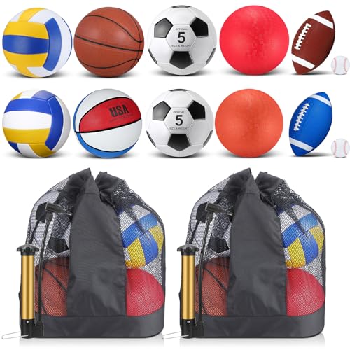 Deekin 12 Pcs Assorted Sport Ball Set for Youth Adult Official Size Basketball Football Volleyball Soccer Baseball Playground Ball with Bag and Pump Gifts(Classic Adult Youth)