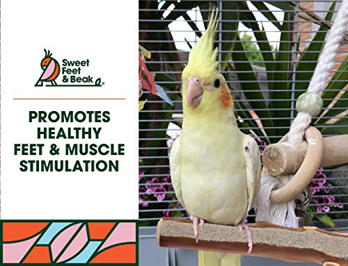 Sweet Feet and Beak Superoost Manzanita Pumice Pedicure Perch - Patented Bird Perch Keeps Nails and Beak in Top Condition - Imitates Birds' Life in The Wild - Non-Toxic, Easy Installation - X-Small