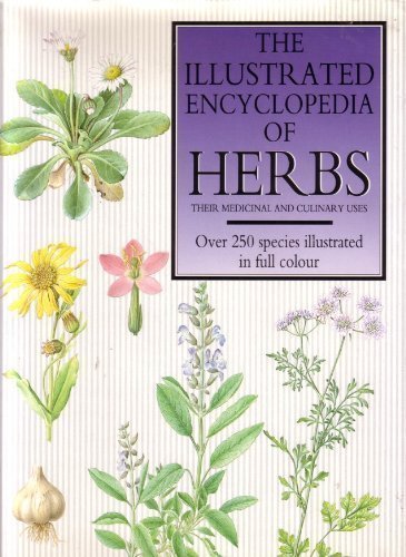 The Illustrated Encyclopedia Of Herbs: Their Medicinal And Culinary Uses