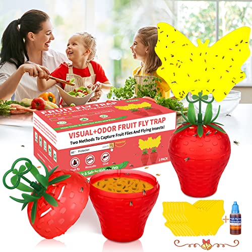 Fruit Fly Traps For Indoors,Effective Fruit Fly Traps With Yellow Sticky Pads,Ready-To-Use Indoor Fruit Fly Killer Gnats Trap Reusable Fly Catcher For Plant/House/Kitchen/Dining Areas (2 Pack) #TOP22