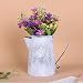 GOODCHANCEUK - Regadera de metal para plantas de artesanía vintage, herramienta de...