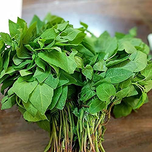 Image of Flare Seeds Bathua Saag Vegetable Seeds Pack Of 290 Seeds