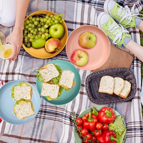 HQCM 5 Stück Wiederverwendbar Camping Teller, 23cm Großer Kompakter Hartplastik Teller​Tiefe Speiseteller Unzerbrechlich Picknickteller Set Mikrowelle Spülmaschinenfest für Party Zuhause Reise, Bunte