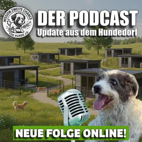 #425 Die unglaubliche Verwandlung von Adi!