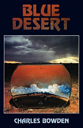 Blue Desert view 2