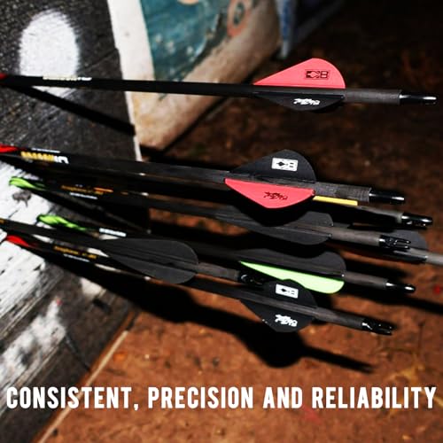 Image of sanlida 100% Pure Carbon Hunting Arrows, Olympic-Grade 10 Spines Deflection (Unique), 0.001 inch /0.003 inch /0.006 inch Straightness, Buy 12 Get 12 Free /Buy 6 Get 6 Free, for Compound & Recurve Bows (12 /24PCS)