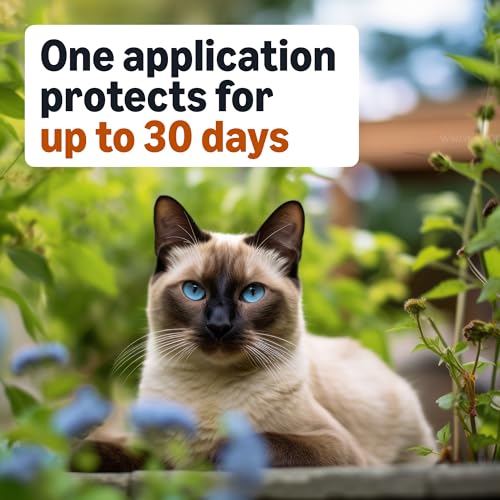 Amazon Basics Topical Flea Treatment for Medium Cats (5-9 Pounds), 4 Count, Packaging May Vary - Image 5