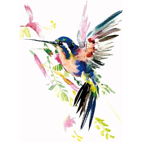 Tatouage temporaire colibri BeyondTattoos Cover