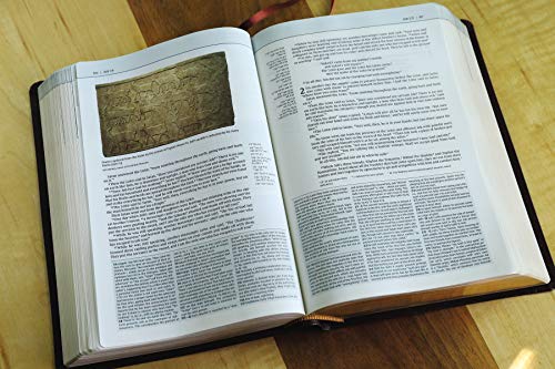 NIV, Biblical Theology Study Bible, Bonded Leather, Burgundy, Comfort Print: Follow God's Redemptiv