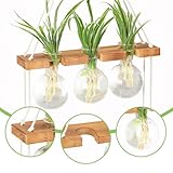 Zoom IMG-2 e room trend fioriere da Zoom IMG-2 e room trend fioriere da