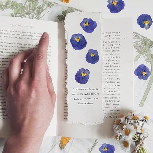 50 flores secas violetas prensadas para moldes de resina y manualidades miniatura 7