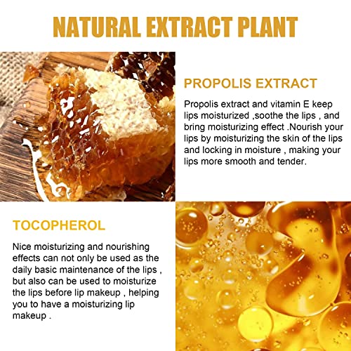 2Pcs Bee Balm,Bee Balm Lip Balm Honey Pot,Honey Lip Mask,Lip Balm,Lip Exfoliating Bee Balm Sleeping Lip Mask With Brush Lip Care Products #TOP5