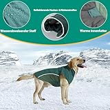 Poiinvc Winddichter Hundemantel Hundejacke mit Geschirrloch Reflektierend Warm und Wasserdicht für Hunde von S bis XXXL mit Elastischen Bündchen Ideal für Outdoor