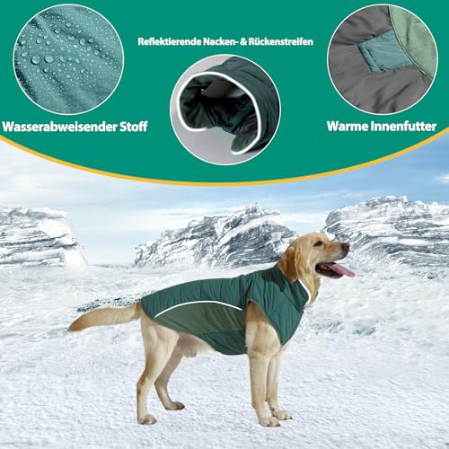 Poiinvc Winddichter Hundemantel Hundejacke mit Geschirrloch Reflektierend Warm und Wasserdicht für Hunde von S bis XXXL mit Elastischen Bündchen Ideal für Outdoor