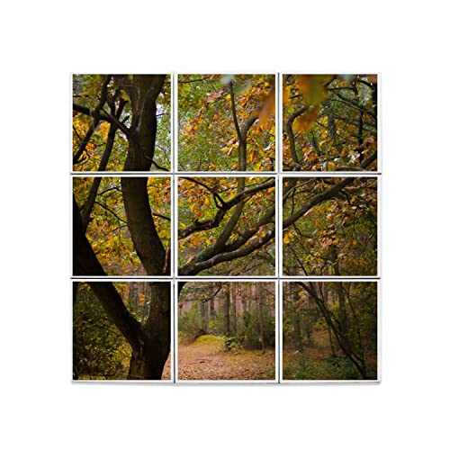 Carreaux Céramique Décoratif 20x20 cm Forêt Automne 60x60cm