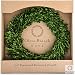 Olive Branch Home Preserved Boxwood Wreath Large Indoor (20 Inch Round)