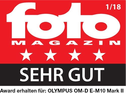 Olympus E-M10 Mark II Solo Corpo Argento Olympus E-M10 Mark II Solo Corpo Argento