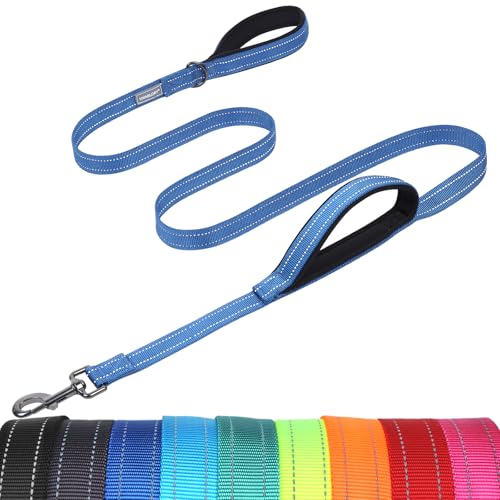 VIVAGLORY Twingrip Dog Leash, Double Handle Dog Leash for Training & Walking with Traffic Handle & 2 Loop, Traffic Control Reflective Heavy Duty for Puppy Pet, 6ft x 1in, Blue