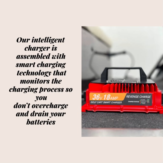 Amazon.com: Revenge Golf Cart Parts & Accessories: Revenge
