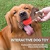 Indestructible Dog Toys for Aggressive Chewers - Durable and Safe