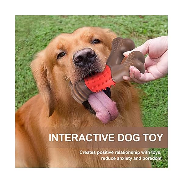 Indestructible Dog Toys for Aggressive Chewers - Durable and Safe