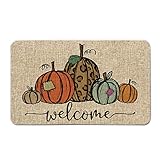 Artoid Mode Pumpkin Welcome Decorative Doormat, Fall Thanksgiving Rustic Yard Floor Mat Switch Mat...