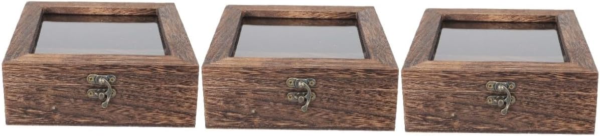 GALPADA 3pcs Retro Specimen Display Box Vintage Style Sample Container Transparent Lid for Jewelry Crafts Lock Multi-functional Storage Carbonized
