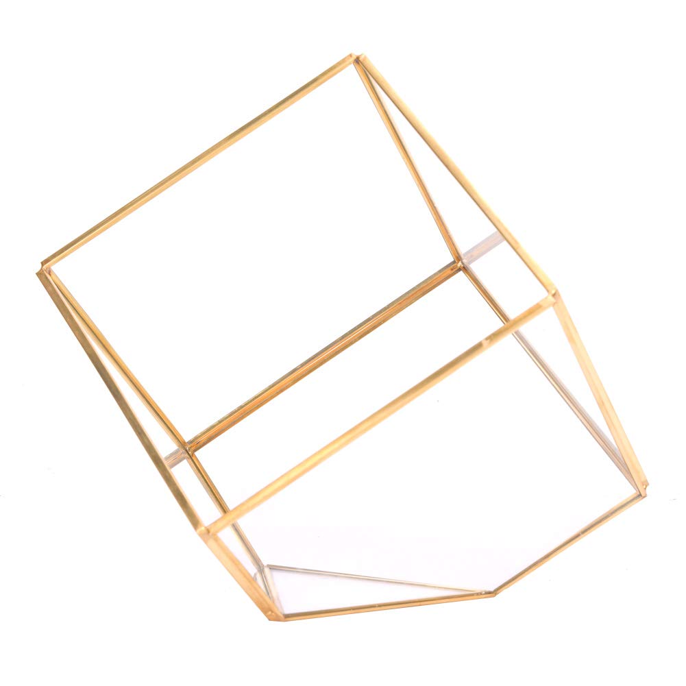 Planteur en verre anti-salissure pour succulente et table propre