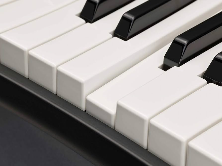 YAMAHA ステージキーボード YC61+ソフトケース YAMAHA ステージキーボード YC61+ソフトケース Amazon | ヤマハ