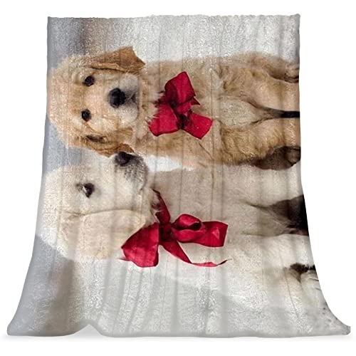 Couvertures chaudes et douces en microfibre pelucheuse imprimé animalier