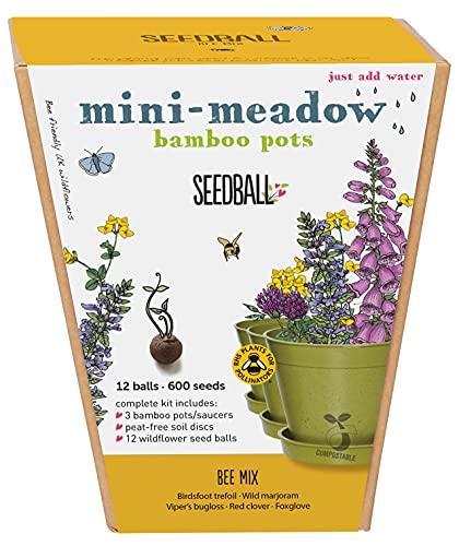 How to grow wildflowers How to grow wildflowers
