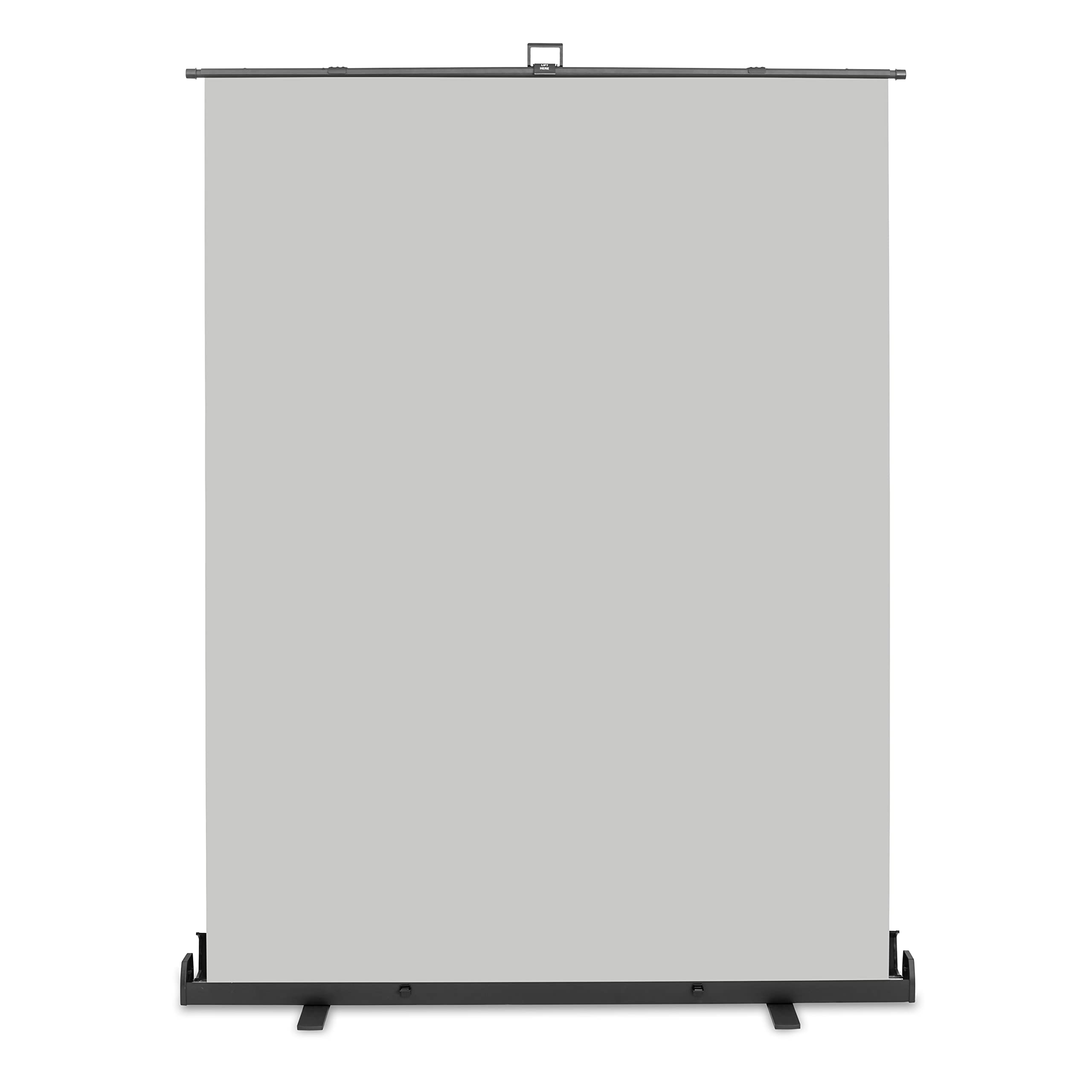 Walimex pro Roll-up Panel Hintergrund grau 165 x 220 cm, Fotohintergrund mit Transportbox, Hintergrundsystem für Fotostudio, knitterfreie Fotoleinwand ideal für Portraits und dezente Lichtakzente