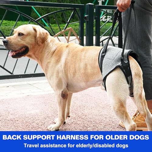 Tragehilfe Hund Hundehebegeschirr Tragegeschirr Hundeschlinge: Hundestützgeschirr Für Die Hinterbeine Mit Handgriff, Verstellbare Gehhilfe Für Verletzte Behinderte Kleine Mittlere Große Hunde (L)