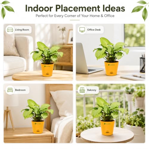 Image of Syngonium White Plant Live Indoor Plant with Pot, Air Purifying Houseplant for Home Decor, Low Maintenance Indoor Plants for Home, Live Plants with Pots, Office Desk Plant