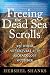 Freeing the Dead Sea Scrolls: And Other Adventures of an Archaeology Outsider