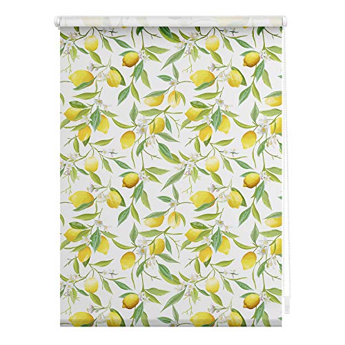 Lichtblick Klemmfix Tageslicht-Rollo mit Motiv, ohne Bohren, Blickdicht, Seitenzugrollo, Made in Germany, Limone - Gelb Grün 80 cm x 150 cm (B x L)
