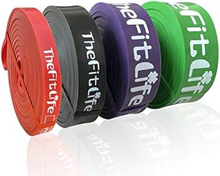 TheFitLife Resistance Pull Up Bands - Pull-Up Assist Exercise Bands, Long Workout Loop Bands for Body Stretching, Powerlifting, Fitness Training, with Carrying Bag and Workout Guide - Full Set