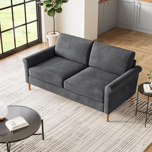 Vesgantti Sofa 2 Sitzer, 164cm Modernes 2er Sofa mit beidseitigen Taschen, Stoff couch mit 2 Kissen und Sitzkissen, Doppelsofa für Wohnzimmer, Schlafzimmer, Büro, Montage ohne Werkzeug 164L*76D*85H cm