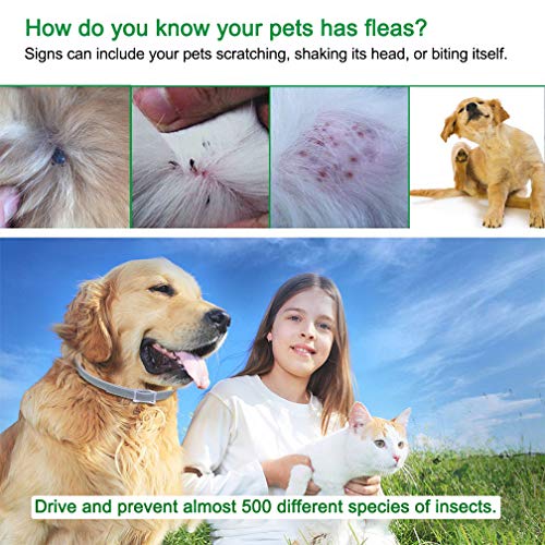 Wanxida Collar Antiparasitario Para Perros Y Gatos Contra Pulgas, Garrapatas Y Mosquitos Tamaño Ajustable(64Cm)