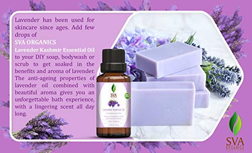 Sva Kashmir Lavender Essential Oil 1/3 Oz 100% Pure Natural Premium Therapeutic Grade For Diffuser, Aromatherapy, Skincare, Haircare, Soaps And Candles #TOP5