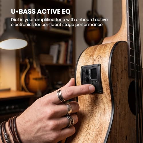 Image of Kala UBASS-SP-MAPL-FS Spalted Maple Fretted Acoustic-Electric U-Bass