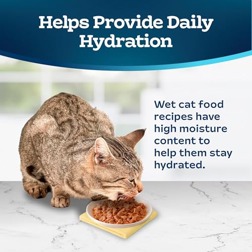 Blue Buffalo Tastefuls Salmon Wet Cat Food, 3 oz, 24 ct - image 7