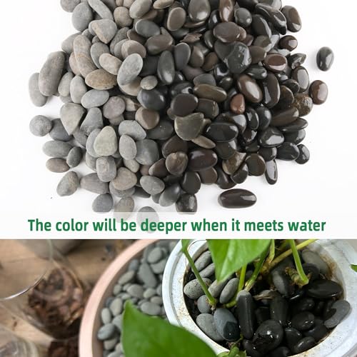 Image of 2.4LB River Rocks Mexican Beach Pebbles for Garden Landscape Stone Paving Stone Grey (1Inch)