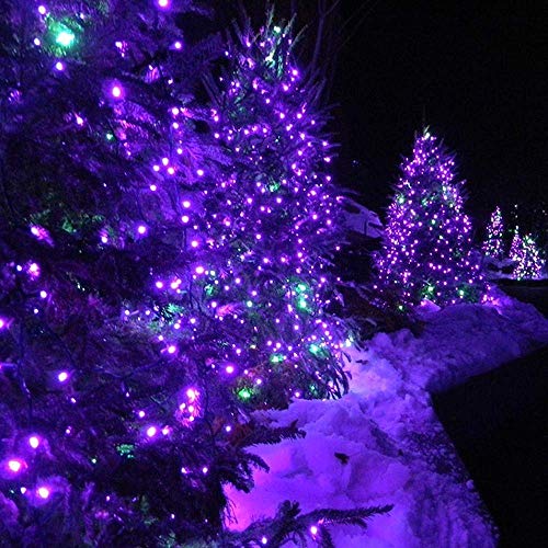 Lyhope Solar Halloween Lights, 72ft 200 LED 8 Modes Solar Christmas Lights Waterproof Decorative Fairy Lights for Garden,Patio,Home,Party,Holiday Outdoor Decor (Purple, 2 Pack)